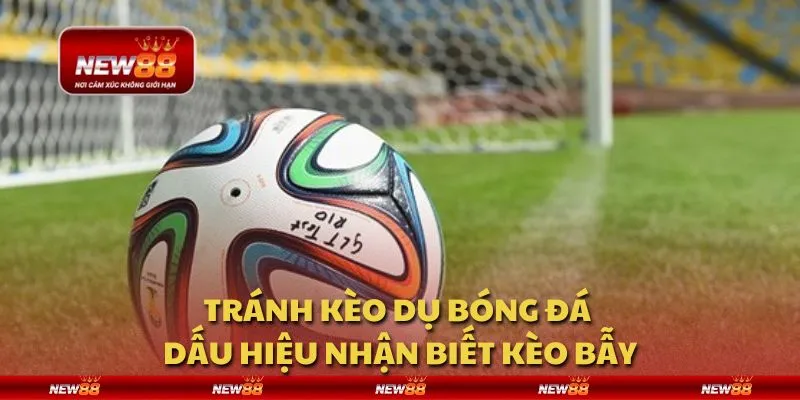 Tránh kèo dụ bóng đá - Dấu hiệu nhận biết kèo bẫy