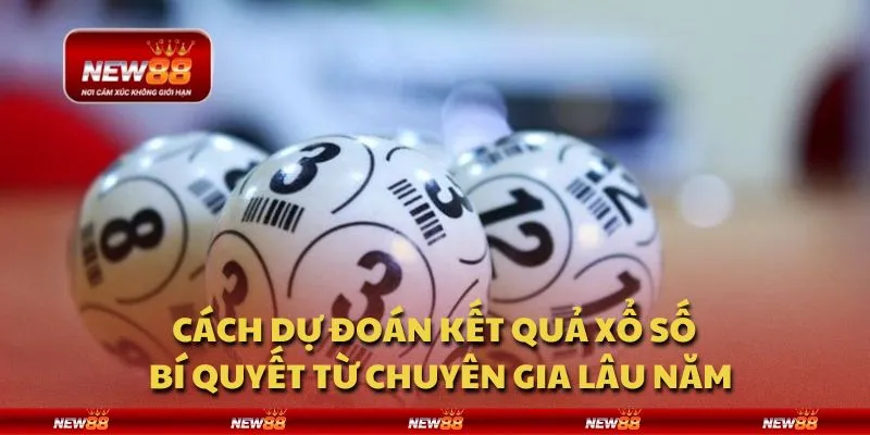 Cách dự đoán kết quả xổ số - Bí quyết từ chuyên gia lâu năm