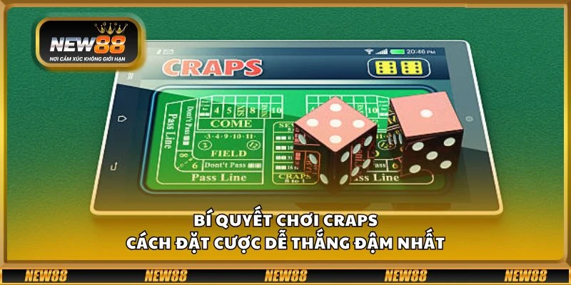 Bí quyết chơi Craps - Cách đặt cược dễ thắng đậm nhất