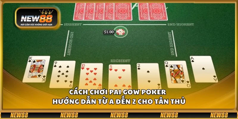 Cách chơi Pai Gow Poker - Hướng dẫn từ A đến Z cho tân thủ