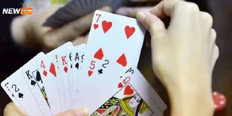 Tổng hợp các cách dụ heo đỏ để chặt