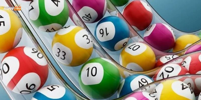 Khám phá về soi cầu quả trám